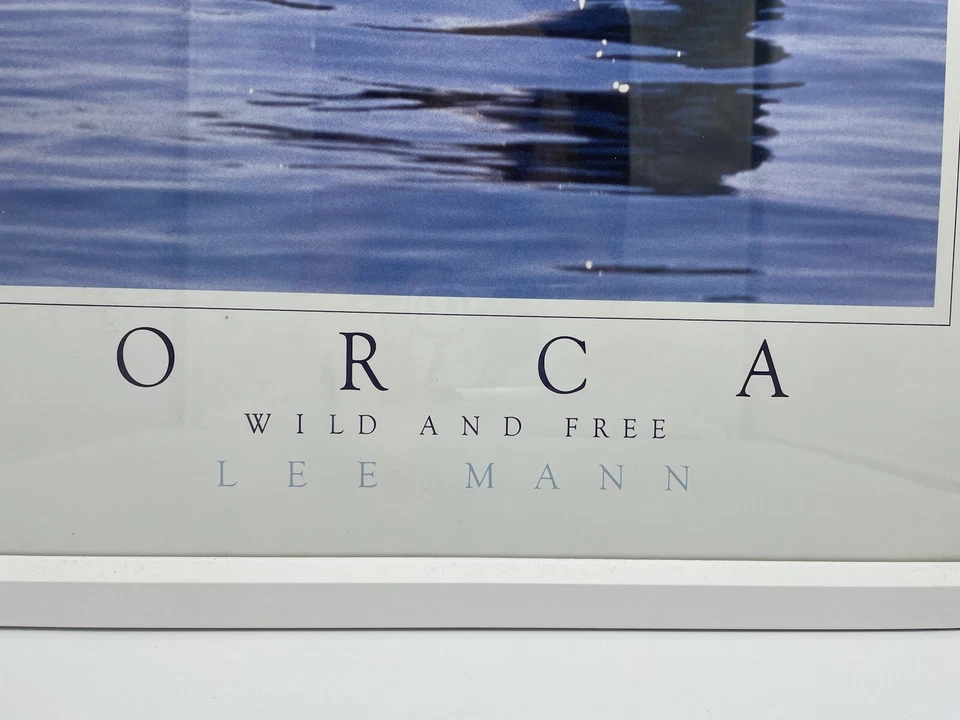 Lee Mann Photography Orca Wild and Free 18 x 24 Signed Framed PNW Whale Print - Image 3 of 4