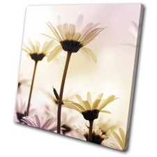 Floral Daisies Flowers SINGLE CANVAS WALL ART Picture Print VA
