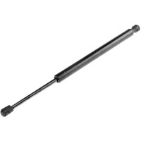 NTY Gasfeder Heckklappe Passend FüR Chrysler 300 C Touring LX 3.0 CRD