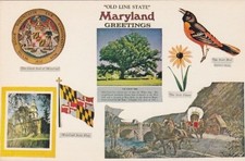 Old Line State-Greetings From Maryland