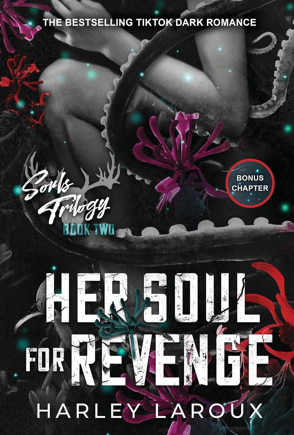 Her soul for revenge Paperback K708