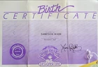 Vintage Cabbage Patch Kids Designer Line Birth Certificate Boy ~ Sampson Wade