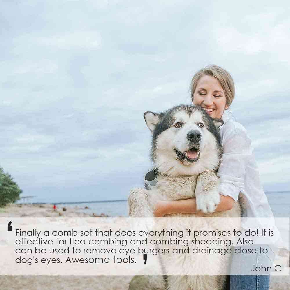 6 Pack Dog Grooming Comb, Pet Flea Lice Stainless Steel Cat Combs with Rounded T