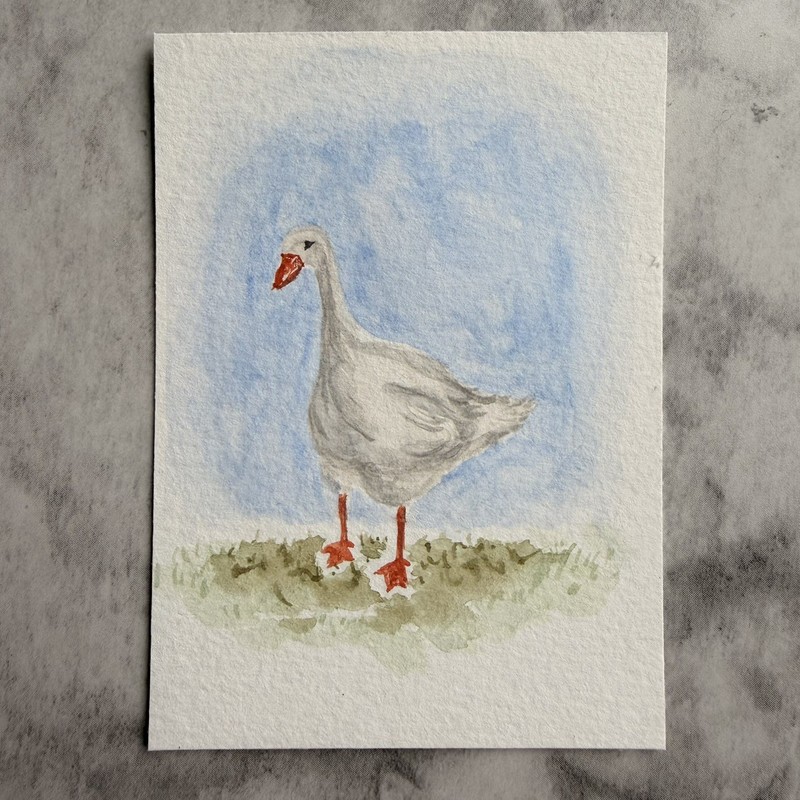 ACEO Original Goose Waterfowl Geese Bird Mini Watercolor By Janelle Aquino