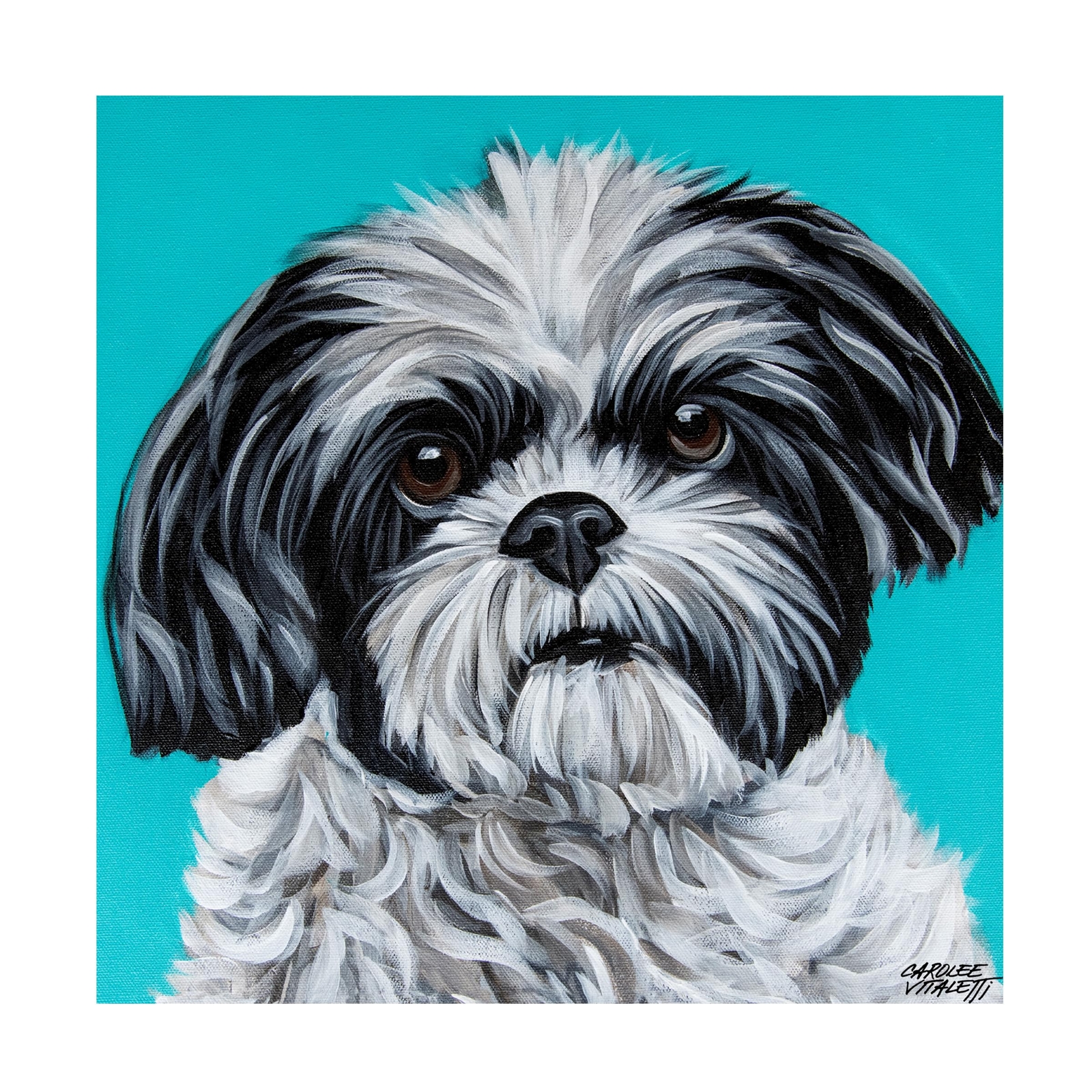 Canvas Wall Art - Carolee Vitaletti 'Black and White Shih Tzu' Wall Art for L...