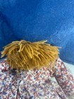Bild 22 von 23