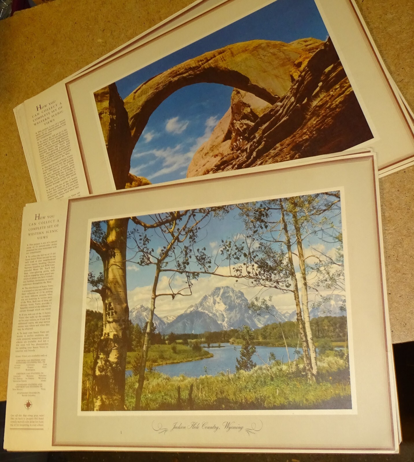 Picture 6 of 9