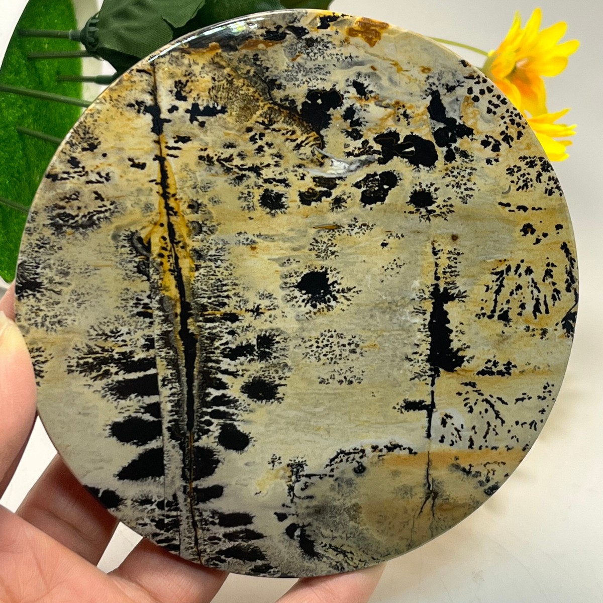 227g Natural chinese Painting Stone Quartz Crystal slice