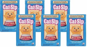 cat sip cat milk