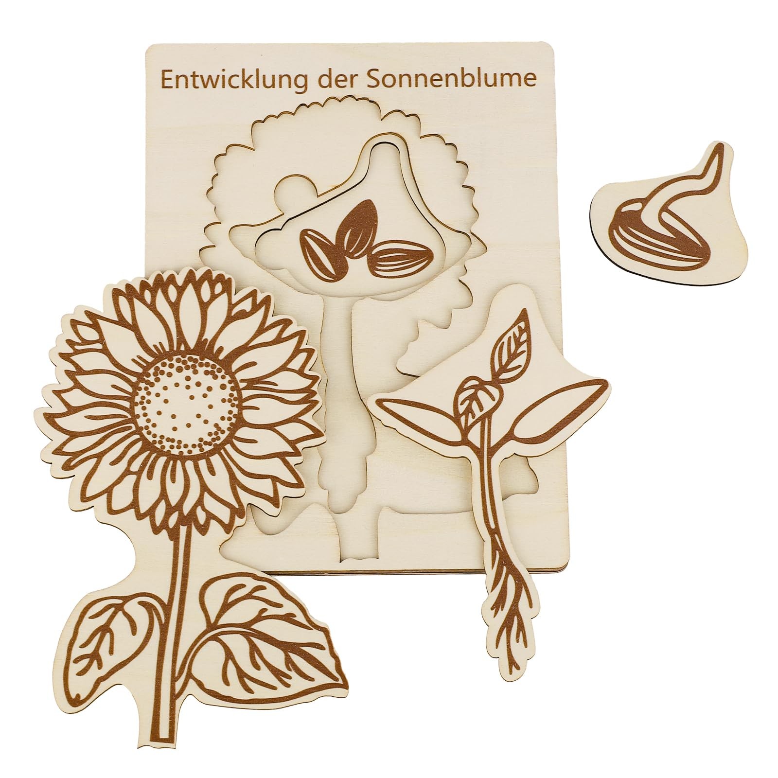 Puzzle cycle de vie tournesol en bois pour l'éveil des enfants