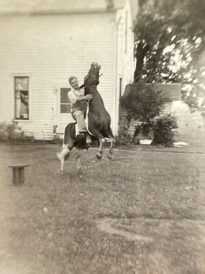 CE) 1930-40's Handsome Man Riding Bucking Bronco Horse Small Double Photograph