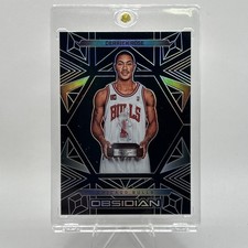 Top 10 Derrick Rose Rookie Cards  29