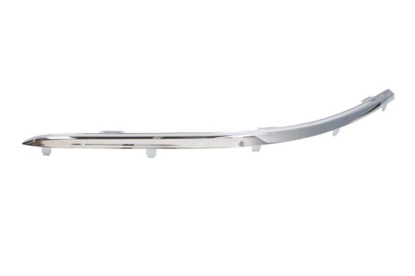 Left Front BLIC 5513-00-9545929P Trim/Protection Strip, bumper for VW