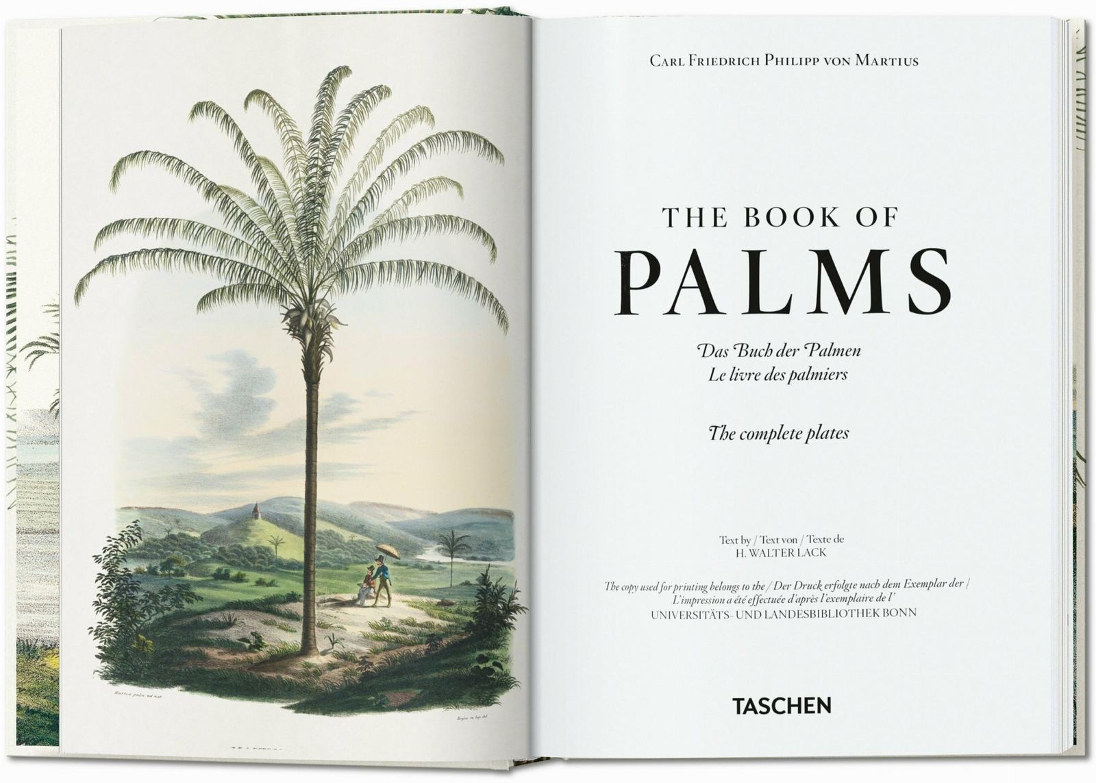 Thumbnail - Martius. The Book Of Palms H. Walter Lack Buch Ger, Hardcover 512 S.