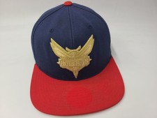 Charlotte Hornets Mitchell & Ness American Fl...