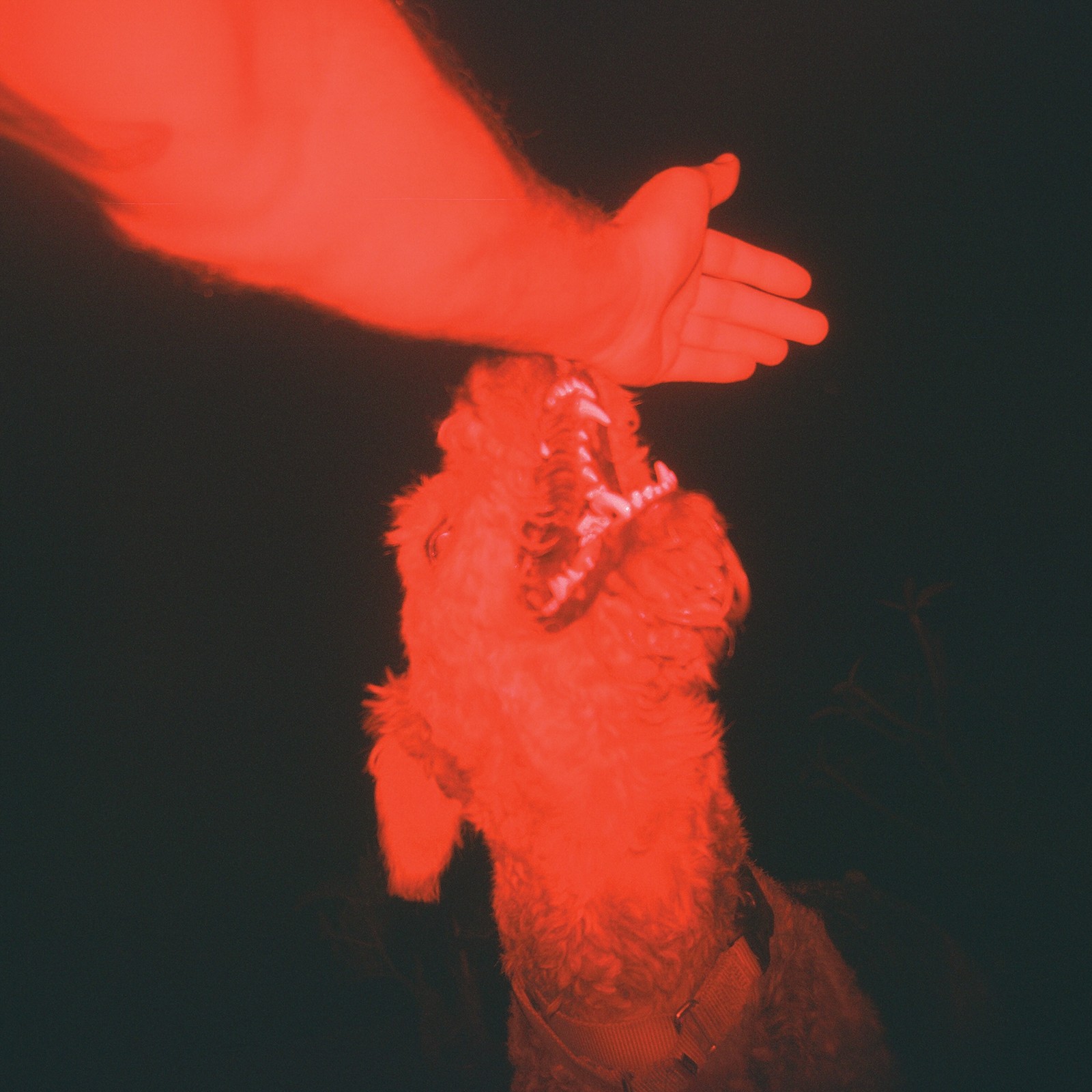 Eli Winter A trick of the light (винил) (ИМПОРТ из Великобритании)