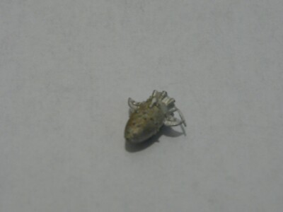 Warhammer Epic 40k: Pewter Ork Pulsa Rokkit Only Bits**OOP NEW