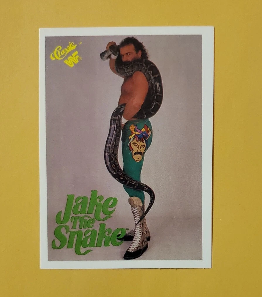 1989 Classic WWF - Jake 