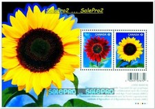 CANADA 2011 CANADIAN GARDENS SUNFLOWER MINT FV FACE $2.48 MNH P STAMP SHEET SET