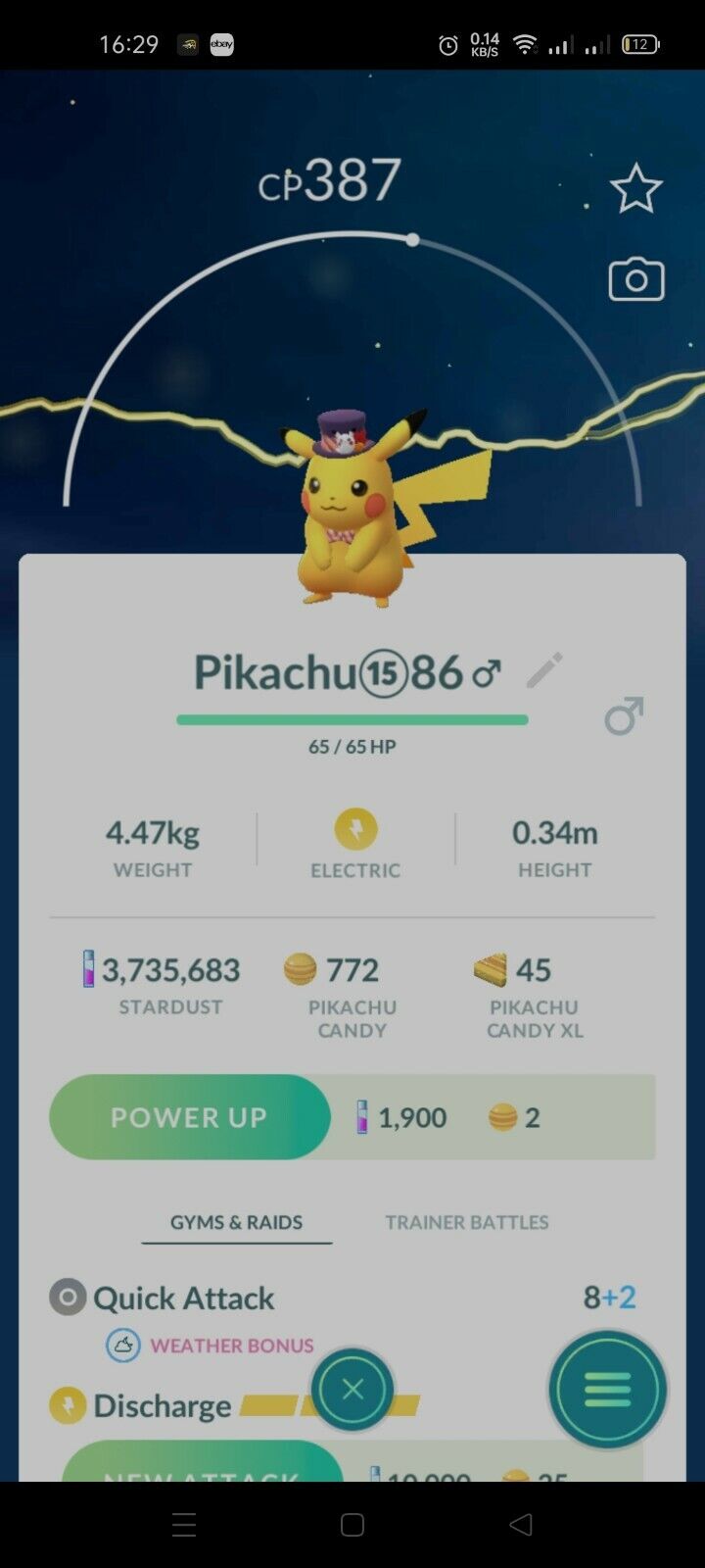 Pokémon GO Shiny Cake Costume Pikachu – Trade 20.000 stardust (Read  Describe) - PoGoFighter