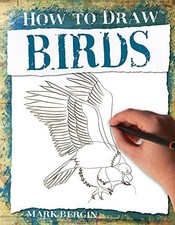 Birds How to Draw 