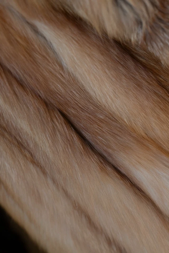 Pelzmatel, Rotfuchs in Größe 38 /40 - Bild 3 von 4