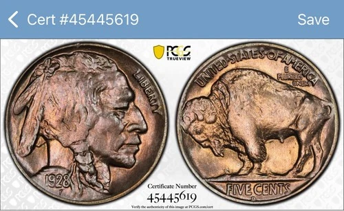 1928 D Buffalo Nickel PCGS Gold Shield MS 64 Toned