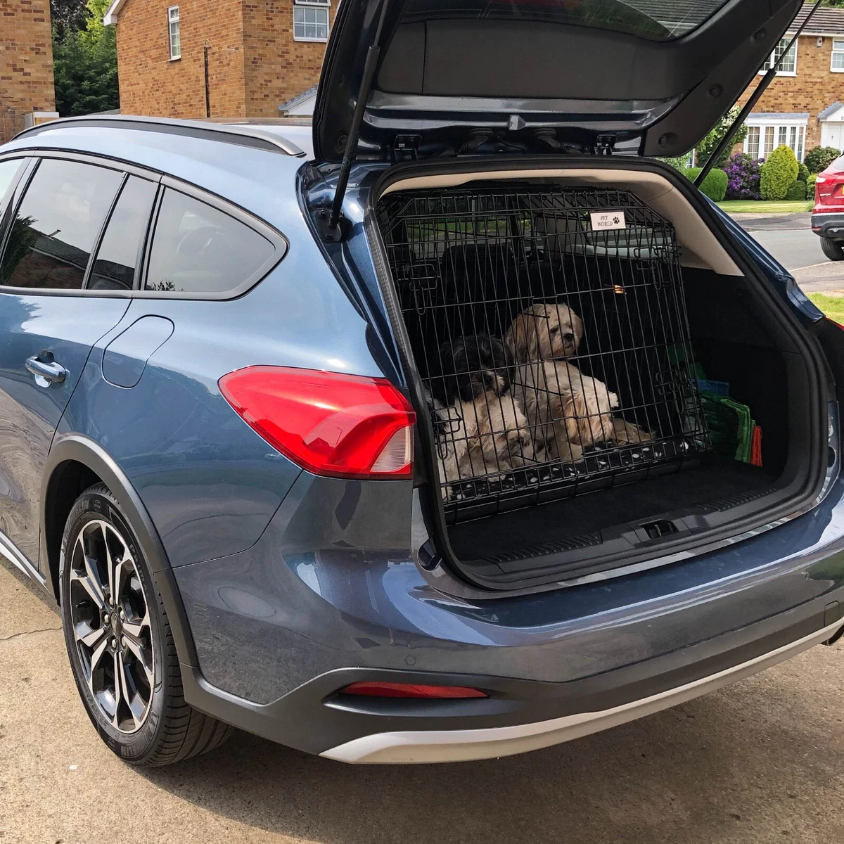 Ford focus dog clearance crate