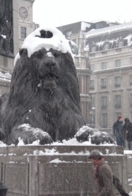Photo 6x4 Trafalgar Square Lion in the snow London  c2009