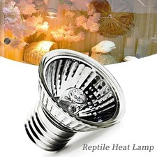 Ampoule chauffante noire (50 W) pour reptiles – Convient aux lézards, tortues