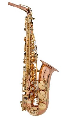 Trevor James 37SC-A569 Signature Custom Altsaxophon - Bronze Korpus