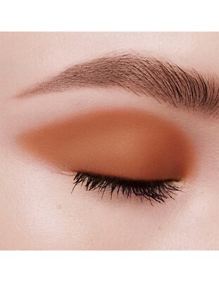New Auth. DIOR Mono Couleur Couture Eye Shadow 570 Copper Velvet w Brush RRP$55