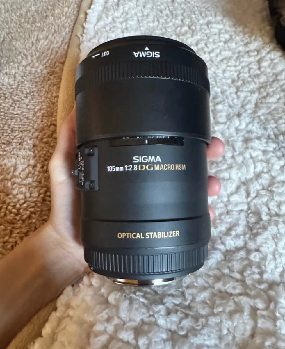 Sigma 105mm Macro for sale - eBay