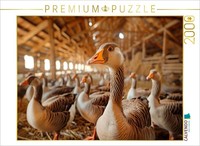 Calvendo Puzzle Geese - At Home On The Farm | 2000 Pieces, Finished Size 35.4 ×