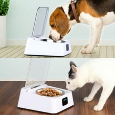 Automatic Switch Lid Dog Food Dispenser Smart Cat Food Bowl Pet Cat Feeder
