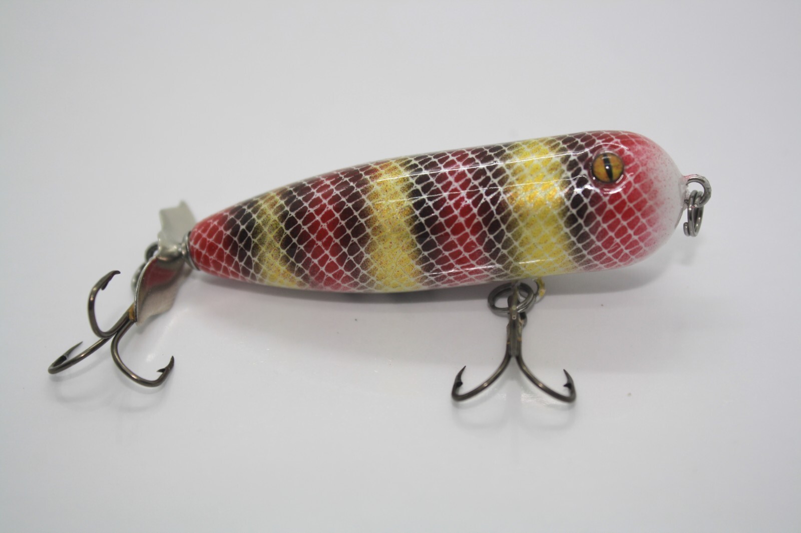 Coral Snake