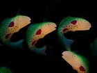 Jumping Bass Fish Party Lights RV, Camping Or  Man Cave — photo 4