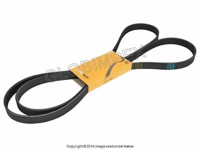 Mercedes w163 6K X 2370 Belt CONTITECH +1 YEAR WARRANTY