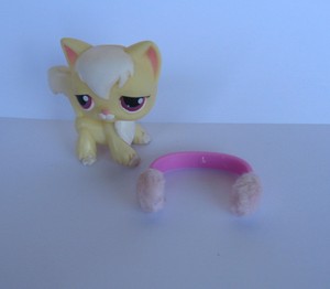 lps long haired cat