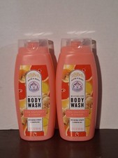 Pink Grapefruit & Ginger Body Wash 20oz Ea Set of 2 Free Shipping 1.00 per gallon