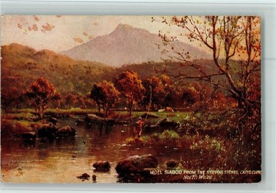 10520740 - Nr. 7893 Picturesque North Wales Serie VIII - Moel Siabod Tucks