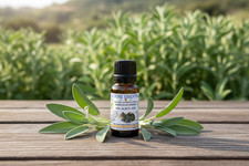 Olio essenziale di salvia