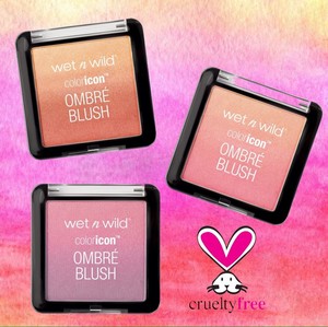 wet n wild color icon ombre blush