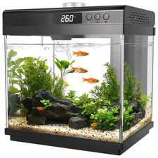 Aqqa 3.7 Gallon Aquarium Starter Kit Small Glass Fish Tank Filter And Light 10