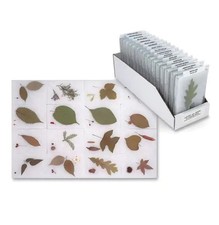 S10 Leaves and Seeds of 16 Common Trees Identification Mounts