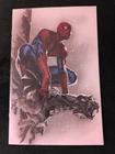 AMAZING SPIDER-MAN #33 VIRGIN DELL OTTO EXCLUSIVE SPIDERMAN 1