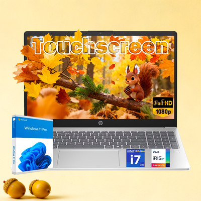 HP 15.6'' FHD Touchscreen Laptop i7-1355U 32 GB RAM + 1 TB SSD Win11 Pro Silver