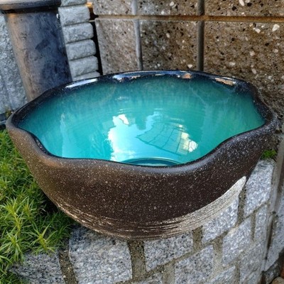 SIGARAKI ware Japanese Biotope Bowl Medaka Fish Pot Planter New