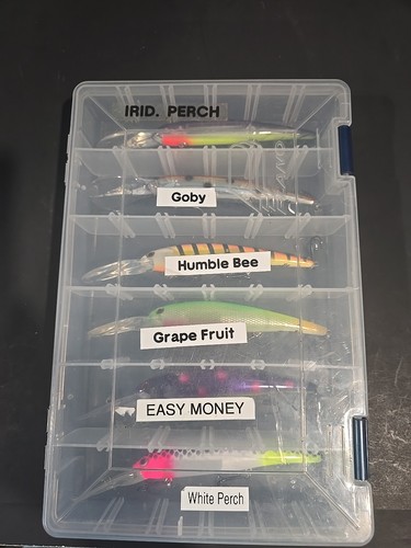 (6) Bandit Lures Deep Divers Fresh Water Crankbaits 6" Plano Case Included - Picture 2 of 9