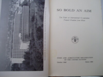 SO BOLD AN AIM: United Nations